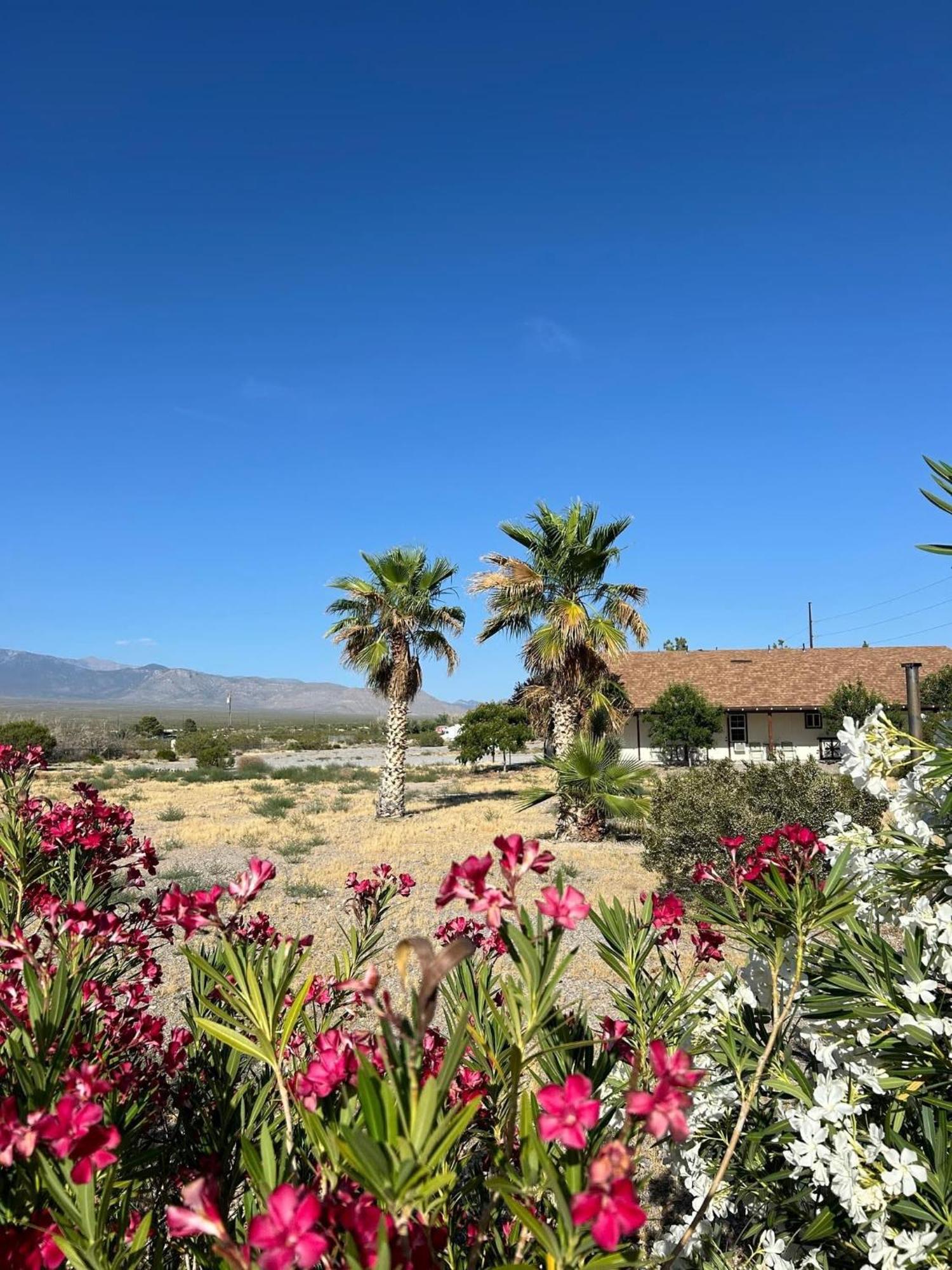 K7 Bed And Breakfast Pahrump Exterior photo